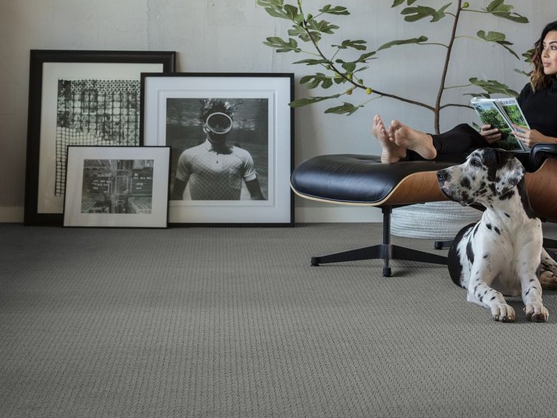 woman reading on chair with a dog sitting next to her on a gray carpet from Carpet Studio & Design Inc. in Los Angeles, CA