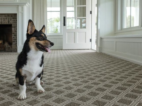 Anderson Tuftex carpet from Carpet Studio & Design Inc. in Los Angeles